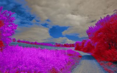 Optimisation Images WordPress : Guide Simple pour la Vitesse