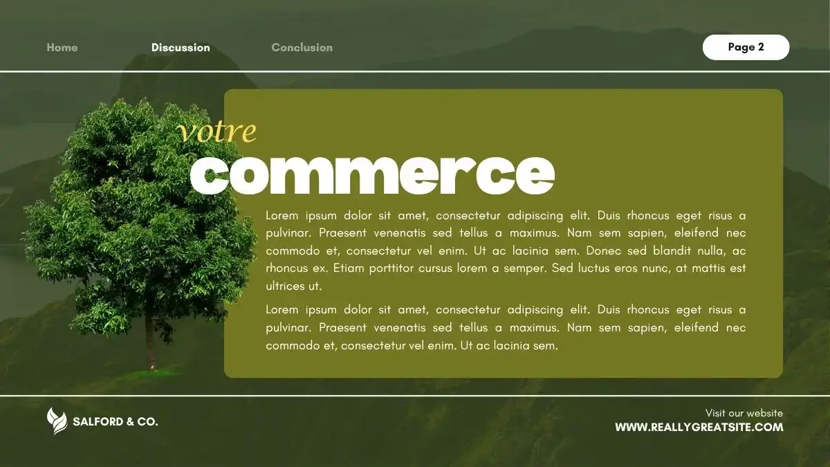 Site internet professionnel Villeveyrac (34560)