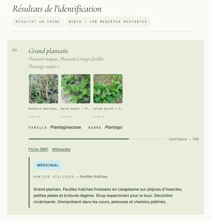 Plugin WordPress sur-mesure de reconnaissance de plantes sauvages connecté à Pl@ntNet